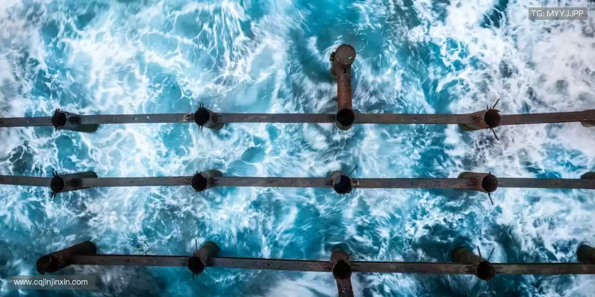 🎯周边好物,球迷必备!🎲